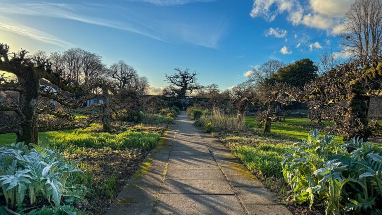 Winter in the Walled Garden at Hinton Ampner